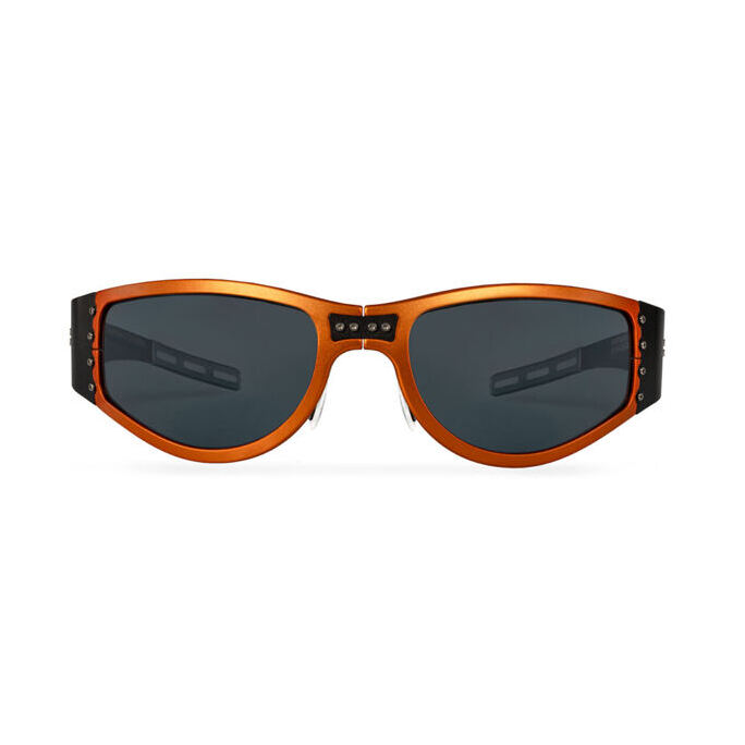 Gotthard – the premium helmet goggles